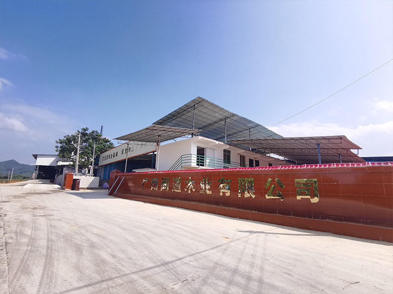 浙江耐用常用建筑模板厂