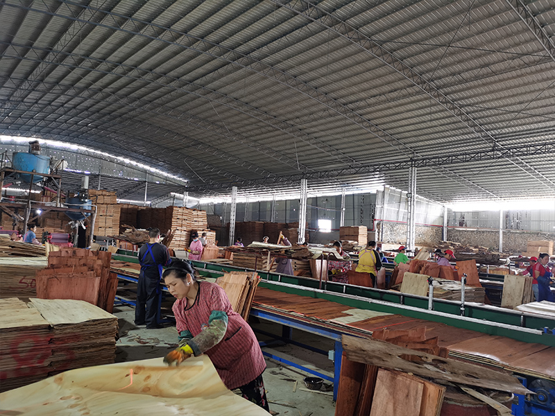 福建耐用黑色建筑模板厂家